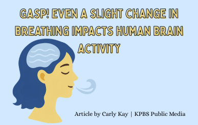 Gasp! Even a slight change in breathing impacts human brain activity